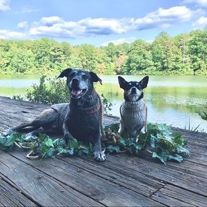 Meet your Posher, Heather